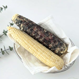 NON-GMO 강원도 영월 무첨가 찰옥수수 냉동 찐 미백 흑찰