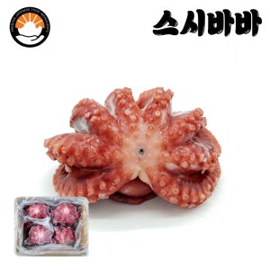 냉동 자숙문어 10kg 삶은문어 숙회 한마리 필리핀 문어 박스