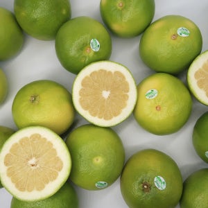 [12-36개 내외] 월드마켓 실속형 못난이 메로골드 청자몽 사이즈랜덤 10kg, 1개