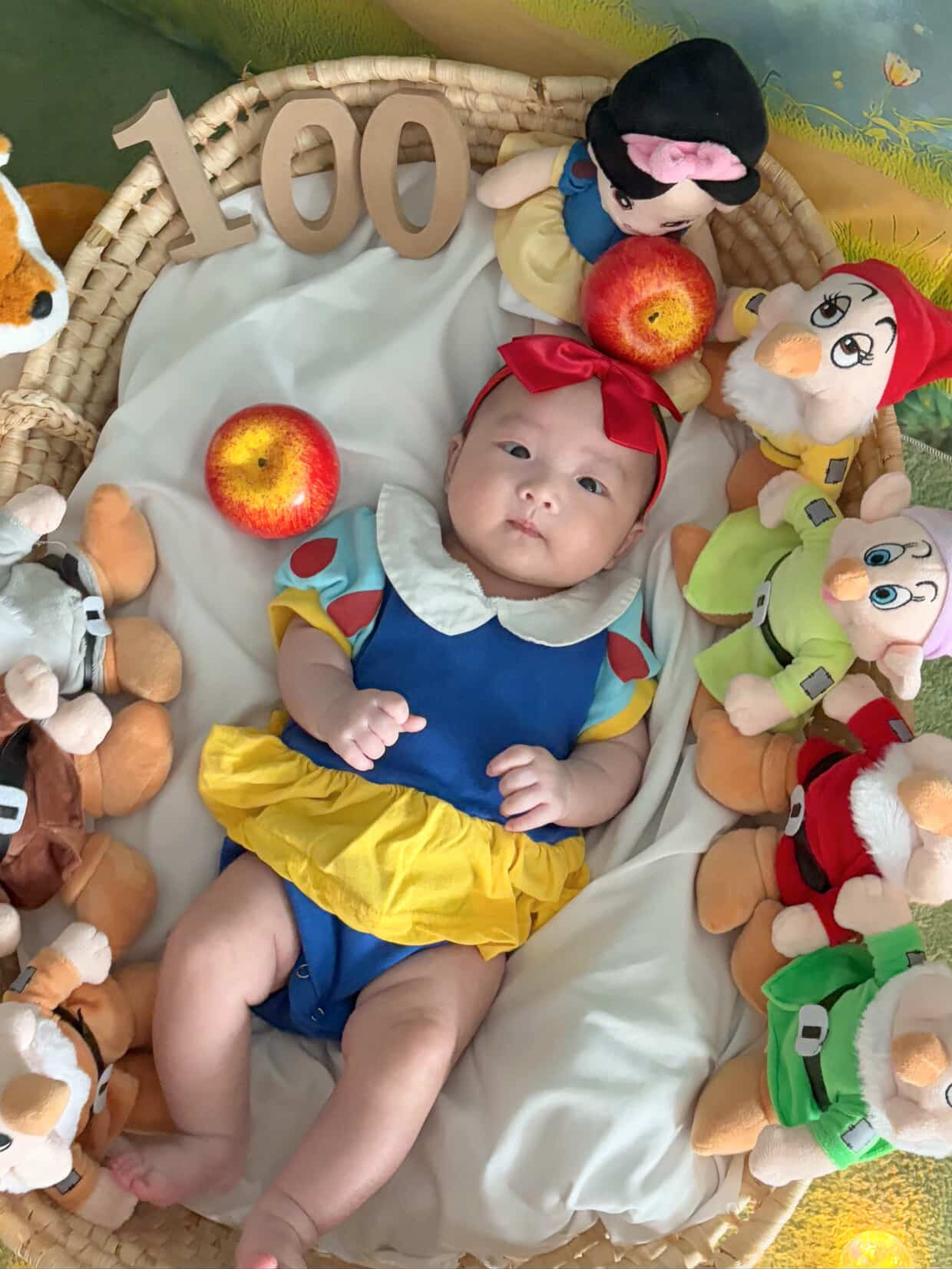 [대여][전국최다]너의하루 백설공주컨셉 아기 200일 300일 400일 500일 셀프촬영