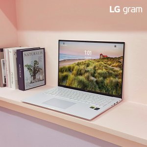 LG그램 17 17ZD90RU-GX54K 16GB 1TB 인텔 13세대 i5