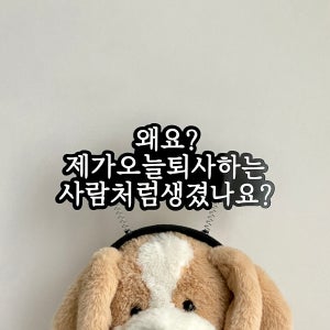 퇴사 머리띠토퍼 퇴직 이직 승진 생일 회사 동료 축하 선물 이벤트 소품 왜요 제가오늘