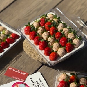 딸기 과일 농장직송 설향 분홍딸기 스프링벨 흰딸기 윈터벨 1kg