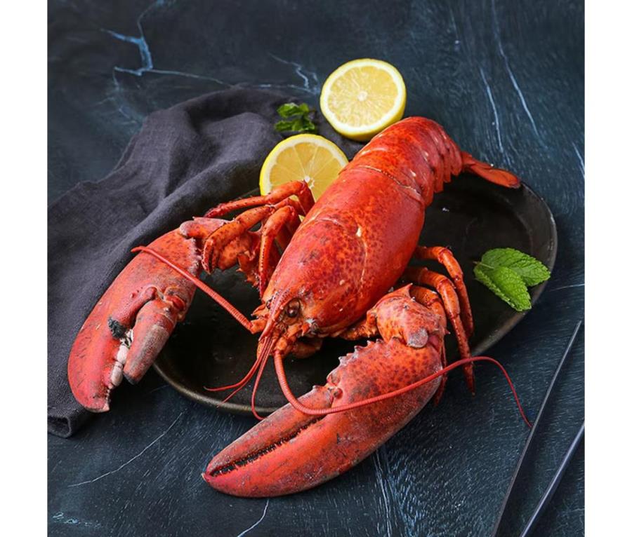 신선 캐나다산 활랍스터 500g (냉장)