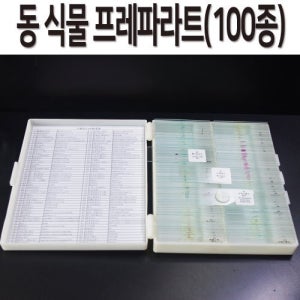 동 식물 프레파라트 100종 R 과학기자재 교육 교구 도구 분석 실험