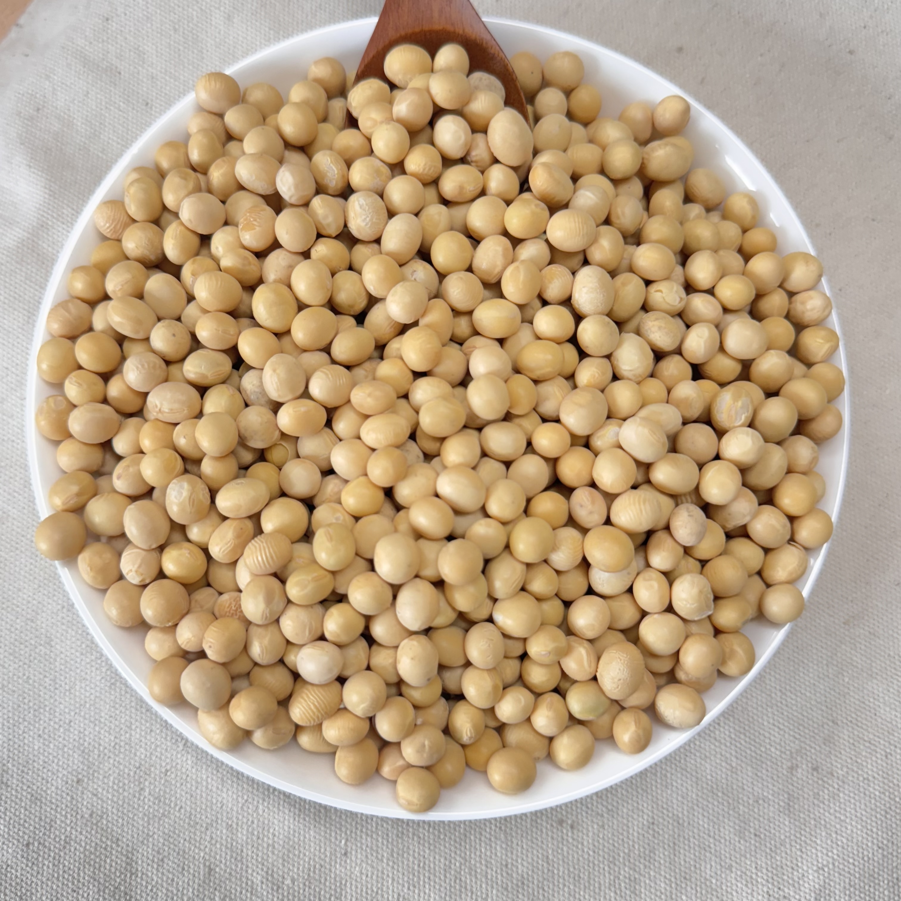 25년산 국산 백태 <b>대두</b> 두부콩 메주콩 5kg, 1개