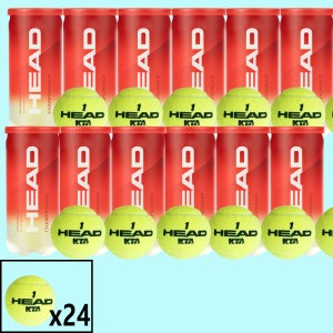 헤드 테니스공 챔피온쉽 KTA 정식 시합구 캔볼 24개입