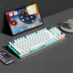 AULA F87후속 F3001 아우라 독거미 기계식 무선키보드 타란튤라 노브 화이트