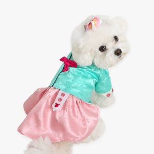 이츠독 디즈니 미니 공주 한복S 강아지 예쁜한복 명절맞이 강아지옷