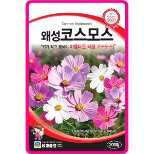 코스모스 씨앗 200립 / 왜성 코스모스 종자 꽃씨 몰 야생화 노지월동 봄 여름 가을