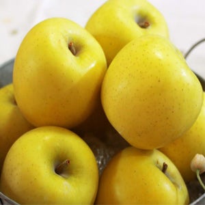 아삭 달콤 청송노란사과 시나노 골드 사과 고당도 맛있는 사과
