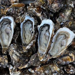 여수 석화 굴 국내산 생굴 석화 5kg