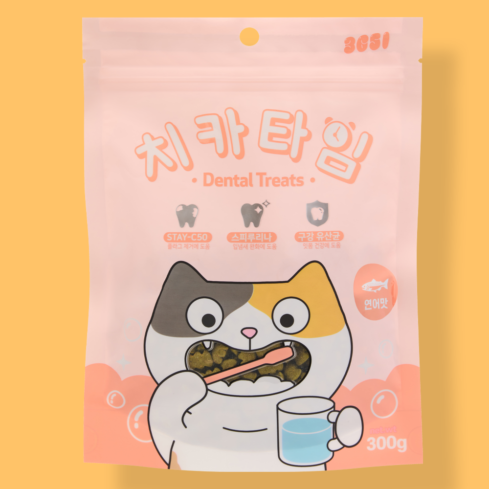 3651 치카타임 고양이 이빨과자 덴탈트릿 연어, 300g, 1개