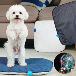 [배터리] 강아지 슬개골 탈구 특허 5개, 박사개발 원적외선 근적외선 방석 피터파우