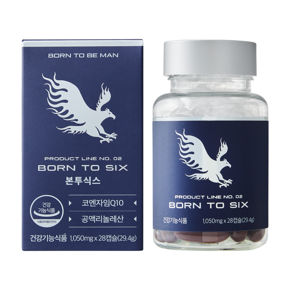 본투식스