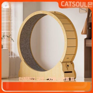 캣 휠 캣 타워 캣 터널 S 사이즈 자작나무 배송