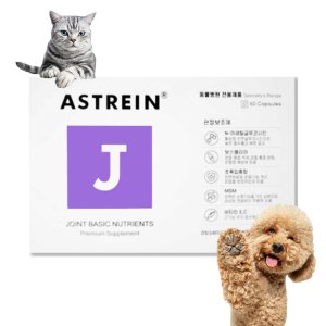 J 아스트레인 강아지고양이 건강 영양제 보조제 관절, 60캡슐, 1개