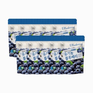 호재준 냉동 유기농 블루베리 500g x 10개