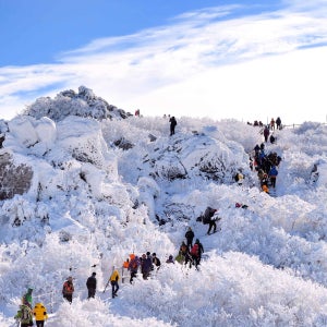 국내 겨울 여행지 덕유산 기차여행 사천 케이블카 / 외도보타니아 KTX 2박 여행