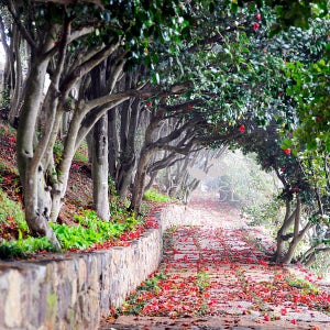 KTX 남해 국내 2박3일 패키지 기차여행 ㅣ 외도·한산도·거제도·장사도