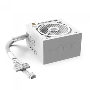 NEWZEN SKULL 850SM 모듈러 ATX3.1 80PLUS골드 화이트 / MPS