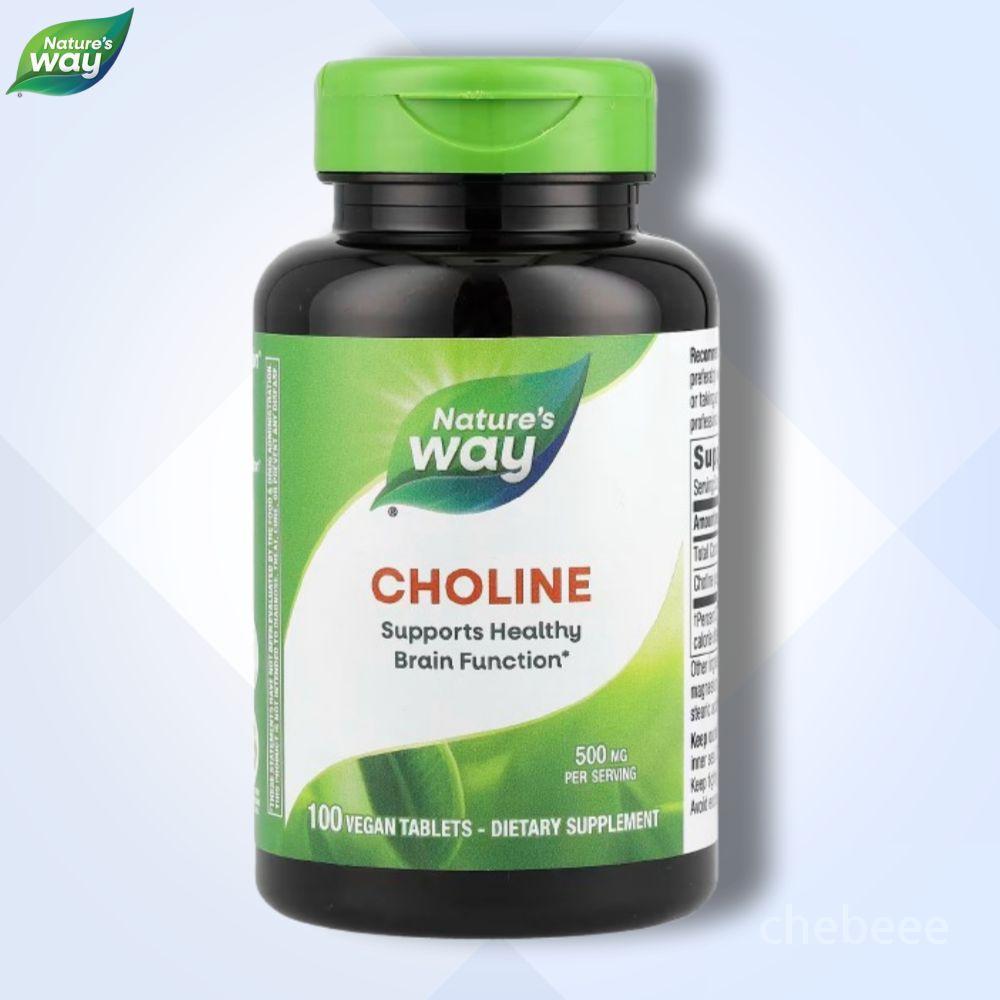 네이처스웨이 콜린 500mg 100정 Choline