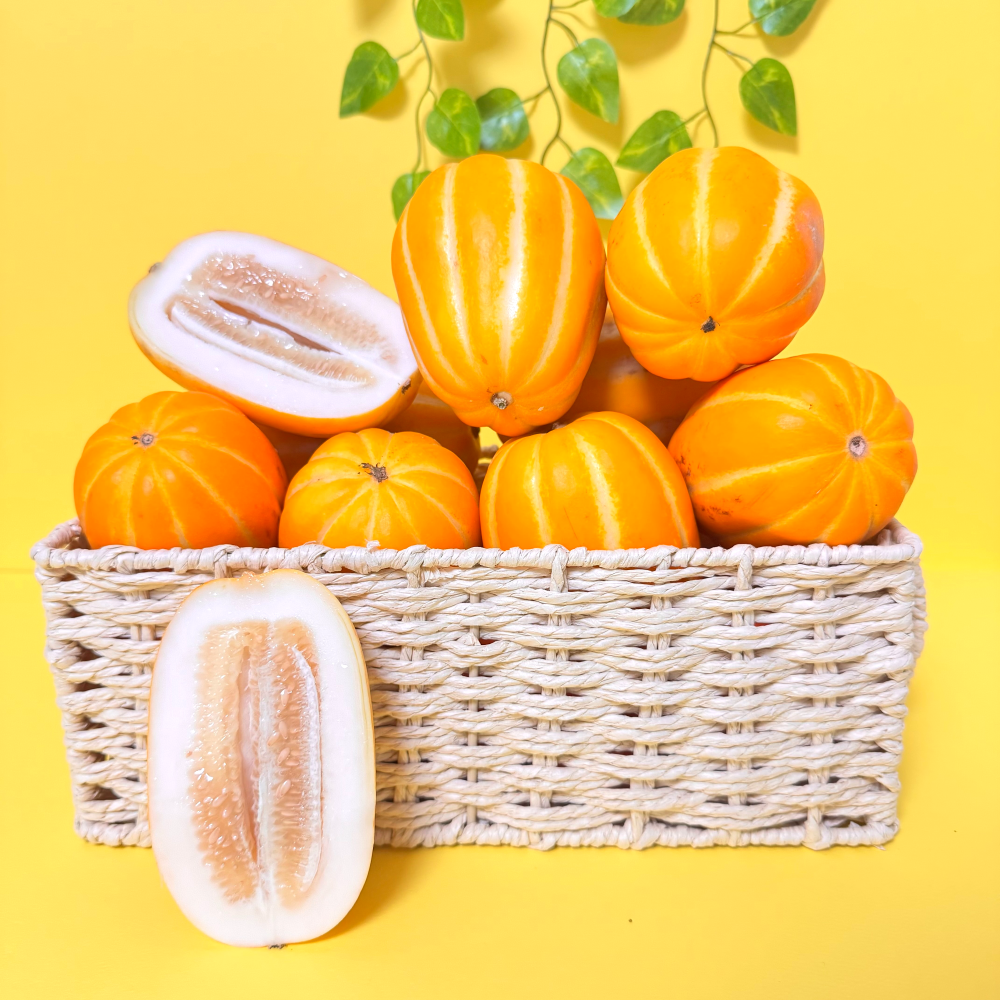성주 꿀 참외 고당도 제철과일 산지직송 특품 못난이 가정용 선물용