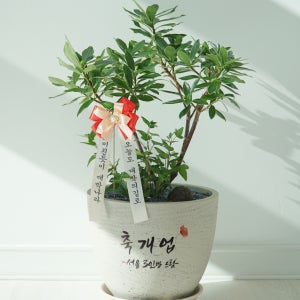 [서울/경기 퀵배송] 시멘트 메세지 테라조화분