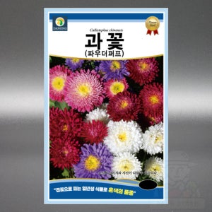 과꽃 파우더퍼프 1g 혼색 겹꽃 일년생 고급 꽃 씨앗 씨 종자