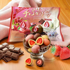 일본 돈키호테 동결건조 딸기 초콜릿 초코 딸기 아소토 270g