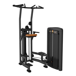 TF-210 치닝 디핑머신 웨이트 머신 헬스장 보조기구 트레이닝 국산 맞춤제작