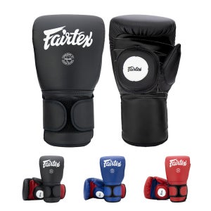 페어텍스 BGV13 글러브형 복싱 미트 / 코치 스파링 글러브