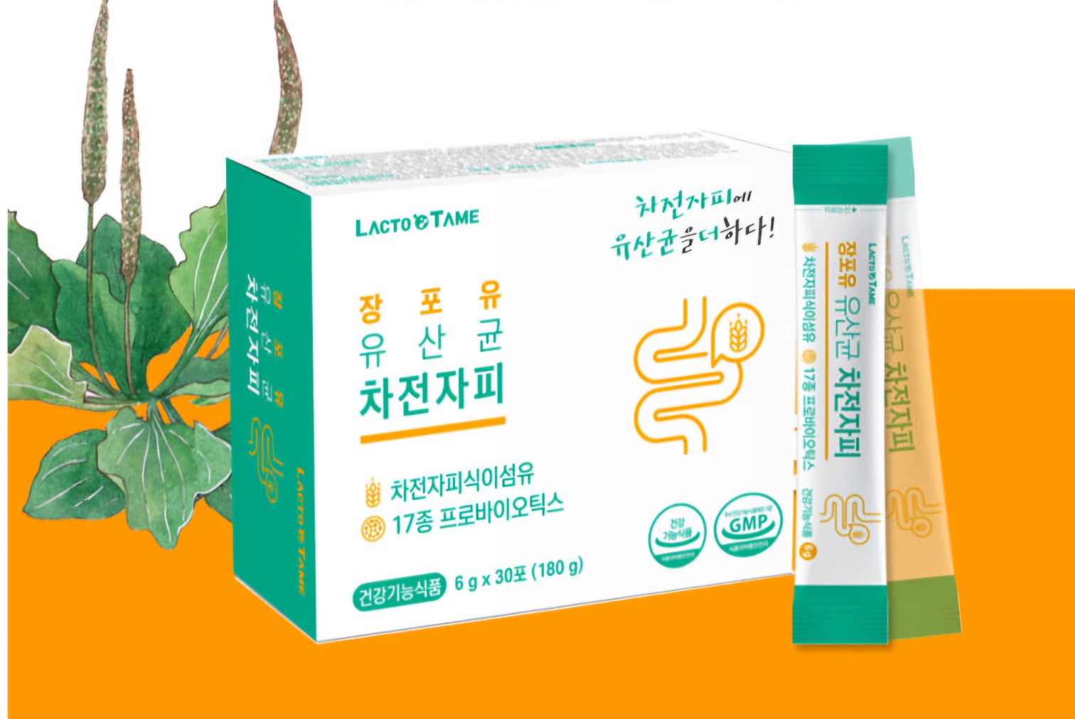 프로바이오틱스 장포유 유산균 차전자피 식이섬유 식약처