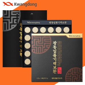 일품기력보환 일품기력침향환 선물세트 상견례선물 30환 구성 쇼핑 백