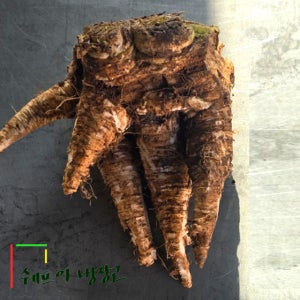 3kg 조선배추뿌리 해남배추꼬리 배추뿌랭이 배추꼬랭이