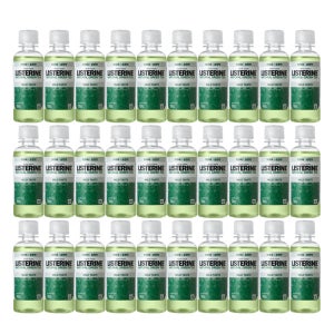 리스테린 내추럴 그린티 마일드 100ml X30개