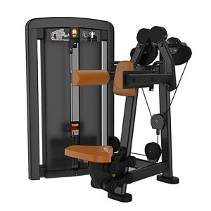 TF-207 레터럴 레이즈 헬스장 전신 근력운동 웨이트 헬스기구 국산 맞춤제작