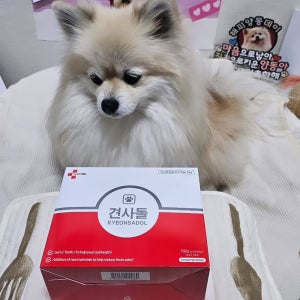 강아지닭고기간식 2+2 56p 견사돌