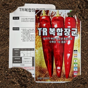 TR복합장군 2025년고추종자 고추품종