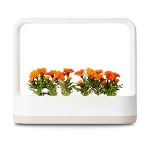 LG 틔운 미니 LED 식물등