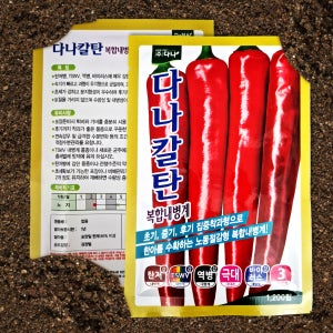다나칼탄 2025년고추종자 고추품종