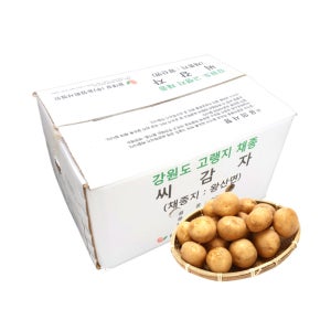 수미 10kg 씨감자 강원도 고랭지 종자 감자 감자씨 분감자