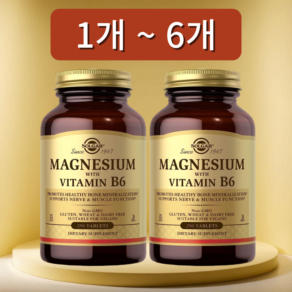 솔가 마그네슘 위드 비타민 B6 250정, 2개