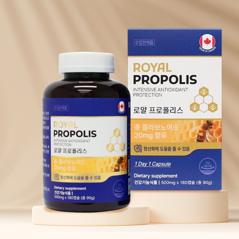 만성 염증 입안 <b>구내염</b> 항산화 면역 캐나다 직수입 로얄프로폴리스 500mg x 180캡슐