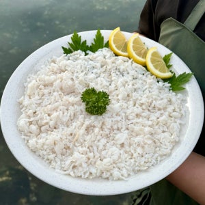 산지직송 자연산 아나고회 붕장어 1kg 칠암식 세꼬시 통영 자연산