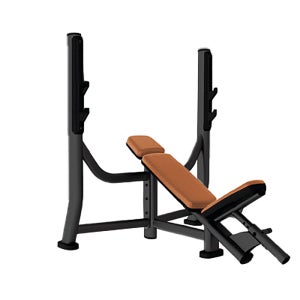 TF-303 올림픽 인크라인 벤치 근력운동 웨이트 머신 보조기구 트레이닝 국산 맞춤제작