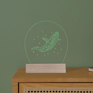 [온교육] 아크릴 7색 무지개등-타원(20인용)