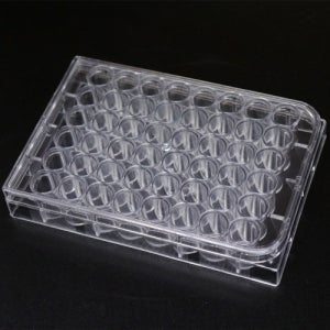 48홀 다용도 홈판 5P 실험기자재 과학 과학기자재 교구 교육 연구