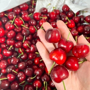 탱글달콤 항공직송 수입산 생 체리 왕 체리 9-9.5R 2kg, 1개