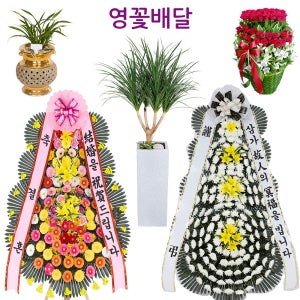 의왕개업화환 의왕꽃배달 화분배달